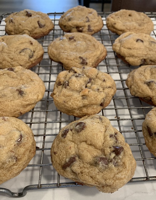 An image of a chocolate chip cookie